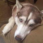 Glen Newcomb - @nukembama - Instagram
