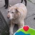 Glenda Newcomb - Facebook