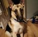 Glen Nolan - Facebook