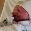Glen Odom - @user33483842 - TikTok