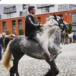 Glen O’Neill🐴 - @glen_oneill20 - Instagram
