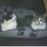 Glen Owen - @glen.owen.758 - Instagram