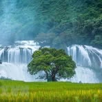 Glen Pang - Facebook