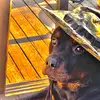 Glen Parker - @glens_dog - TikTok