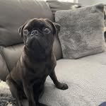 Glenn Parrish - @parrish.glenn - Instagram