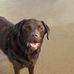 Glen Pascoe - Facebook