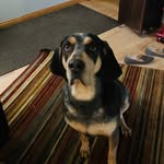 Glenn Patton - @glenn.patton - Instagram