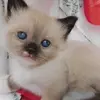 Payton - @payton.lee.glen - TikTok