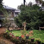 Pepper Glen Powathu - @pepperglenpowathu - Instagram