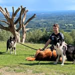 @glenpetrie_ - Instagram