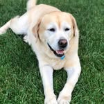 Glen Piper - @glen.piper - Instagram