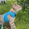 piper.glenn - @piper.glenn - TikTok