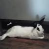glendaprater889 - @glendaprater889 - TikTok