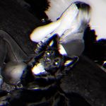 Glen - @_____glenpratt__26 - Instagram
