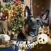 Glenda Pritchett - Facebook