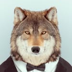 Glenn Purcell - @glenn_purcell - Instagram