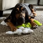 Riddles Purcell-Donis - @riddlesglenpurcelldonis - Instagram