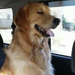 Glenna Kay Putman - @glennaputman - Instagram