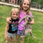Glen Ramsey - @rahulkumar7033154925 - Instagram
