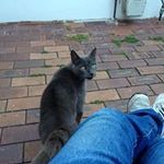 Glenn Ritchie - @ritchie.glenn - Instagram