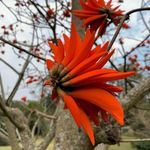 Glen Robbins - @robbins.glen - Instagram
