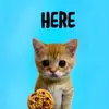 glenesharouse373 - @glenesharouse373 - TikTok