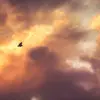 Glen Roy - @glenroy508 - TikTok