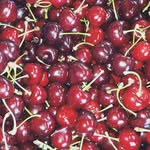 Ruby Glen Orchard - @ruby.glen.orchard - Instagram