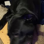 Glen Rutherford - @glenrutherford2 - Instagram