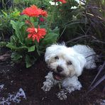 Glenda Rutter - Facebook