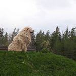 Glenryan Farms - @glenryanfarms - Instagram