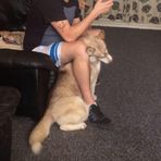 Glenn Ryder - Facebook