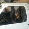 Glen Schultz695 - @glenschultz383 - TikTok