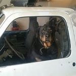 Glen Schultz - @gschultz383 - Instagram
