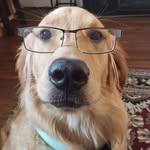 Glen Schultz - @glencschultz - Instagram