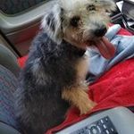 Glen Schultz - @xrw99 - Instagram