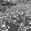 Glen Schultz - @glen.schultz3 - TikTok