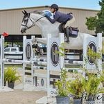 Silver Glen Stables LLC - @silverglenstables - Instagram