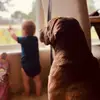 glennsimpson125 - @glennsimpson125 - TikTok