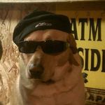 Glenn Spears - @glenn.spears.121 - Instagram
