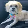 Glen.Stover - @glen.stover - TikTok