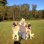 Glen Strong - @glen.strong - Instagram