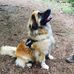Glen Strong - Facebook