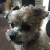 glensweet1 - @glensweet1 - TikTok