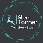 Glen Tanner Trakehner Stud - @glentanner_trakehnerstud - Instagram