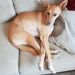 Glenn Tanner - @glenn.tanner.35513 - Instagram