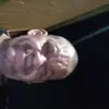 glenntanner93 - @glenntanner93 - TikTok