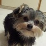 Glen Steel - @glen.steel.73 - Instagram
