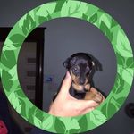 Glen Vaughan - @archangelwarren - Instagram