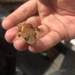 Glenn Vaughan - @glennevaughan - Instagram